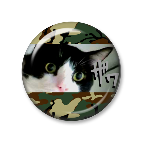 猫神バッヂ ザワつく