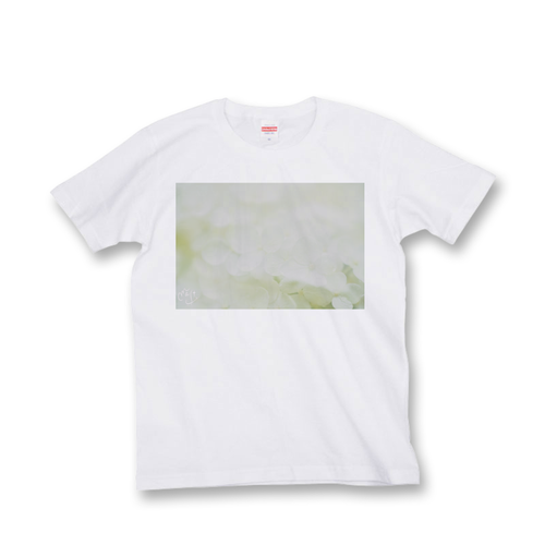 フォトデザイン Tシャツ 白 白紫陽花
