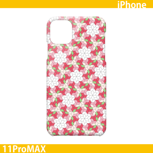 THP_RT_FSFU-L2_BSFU-L1-P-2