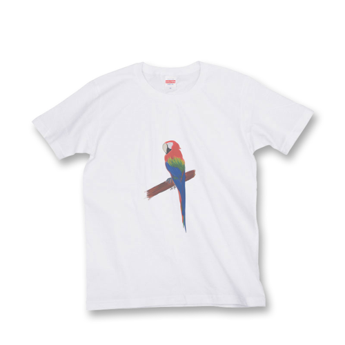 [綿]コンゴウインコ_chiy0_no_et
