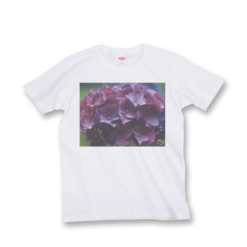 フォトデザイン Tシャツ 白 紫陽花