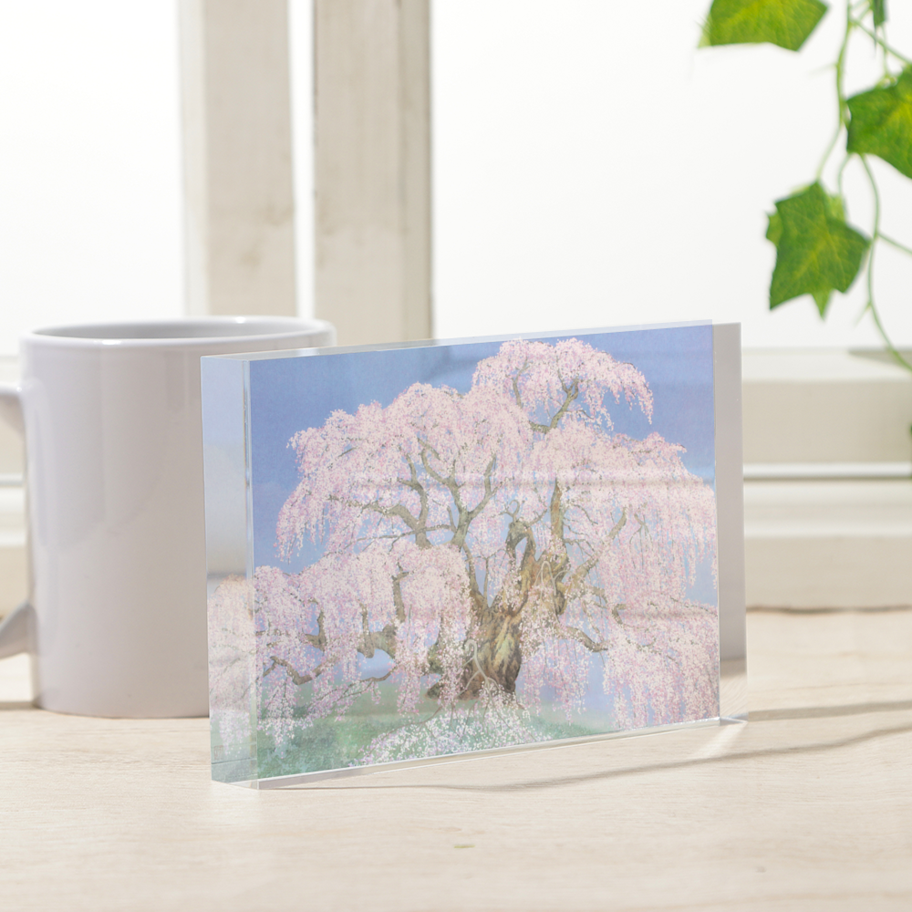 八木天水 オフィシャル販売店 三春の滝桜・日本三大桜(和紙貼り絵)彩密